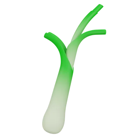 LEEK  3D Icon