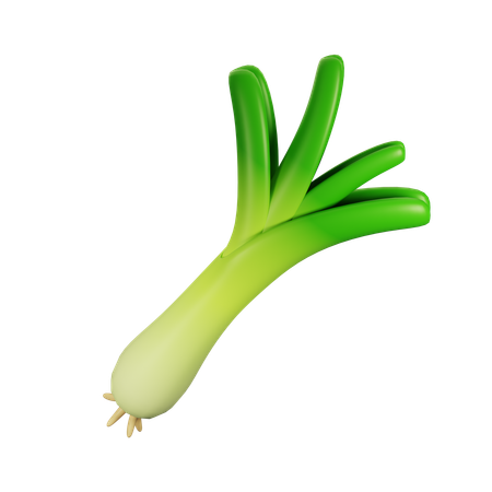 Leek  3D Icon