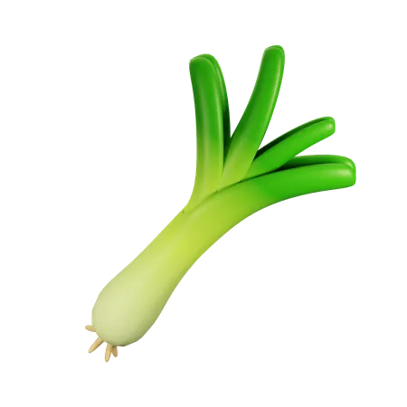 Leek  3D Icon
