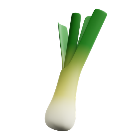 Leek  3D Icon