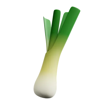 Leek  3D Icon