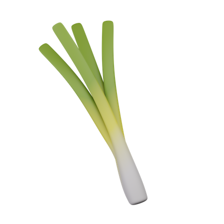 Leek  3D Icon