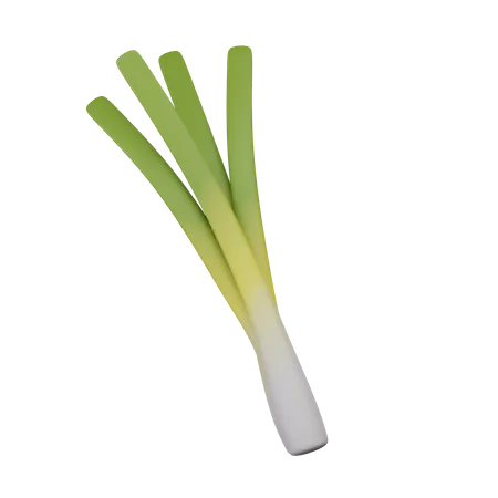 Leek  3D Icon