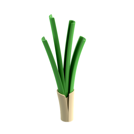 Leek  3D Icon