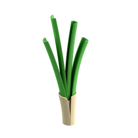 Leek  3D Icon