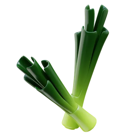 Leek  3D Icon