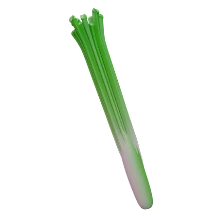 Leek  3D Icon