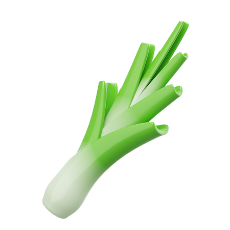 Leek  3D Icon