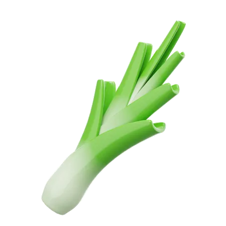 Leek  3D Icon