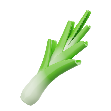 Leek  3D Icon
