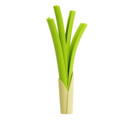 Leek  3D Icon