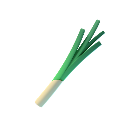 Leek  3D Icon