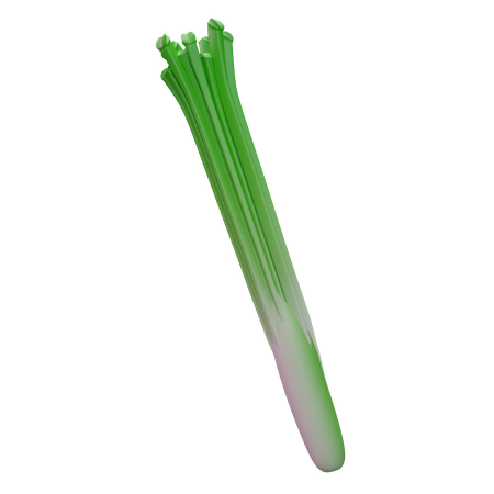 Leek  3D Icon