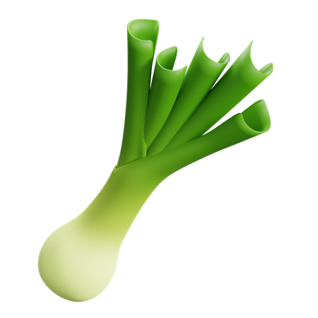 Leek  3D Icon
