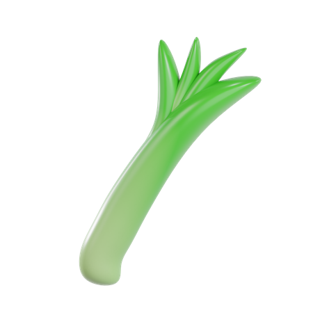 Leek  3D Illustration