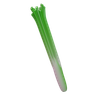 leek vegetable emoji 3d