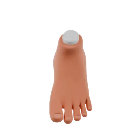 Leg  3D Icon