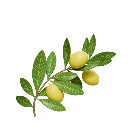 Lemon Tree  3D Icon