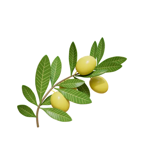 Lemon Tree  3D Icon