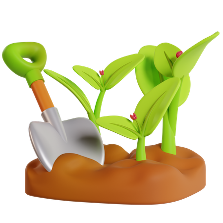 Les débuts de la plantation verte  3D Icon