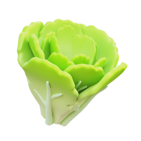 Lettuce  3D Icon