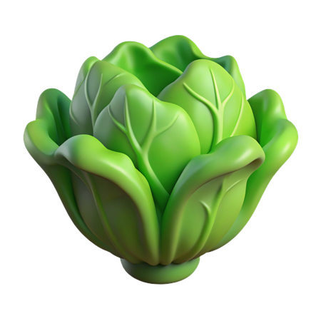 Lettuce  3D Icon