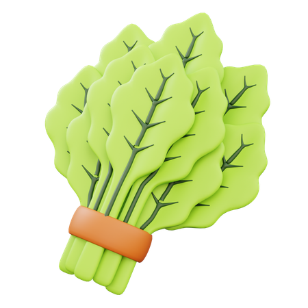 Lettuce  3D Icon