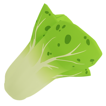 Lettuce  3D Icon