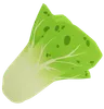 Lettuce