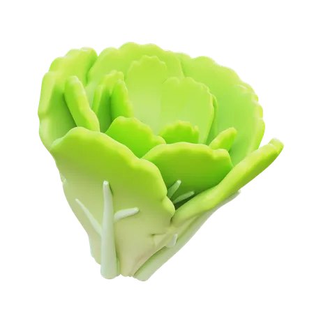 Lettuce  3D Icon