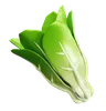 Lettuce