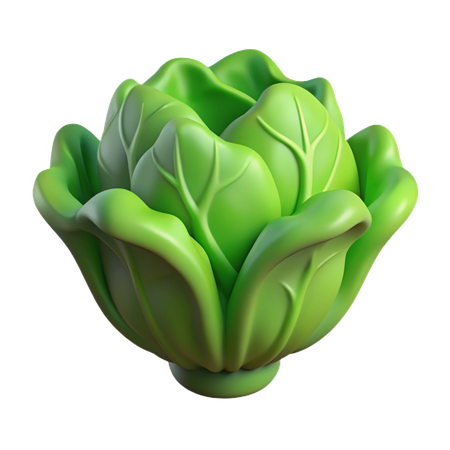 Lettuce  3D Icon
