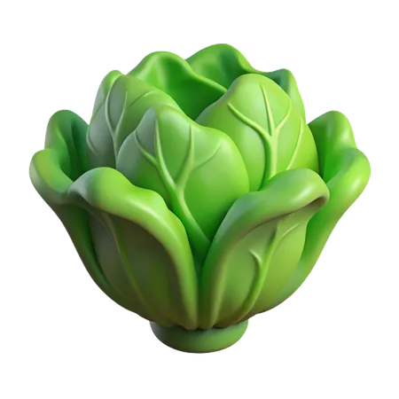 Lettuce  3D Icon