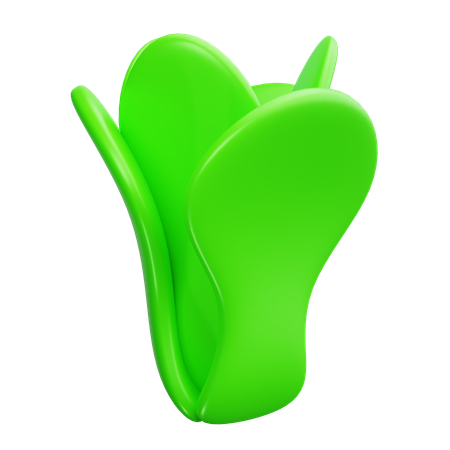 Lettuce  3D Icon