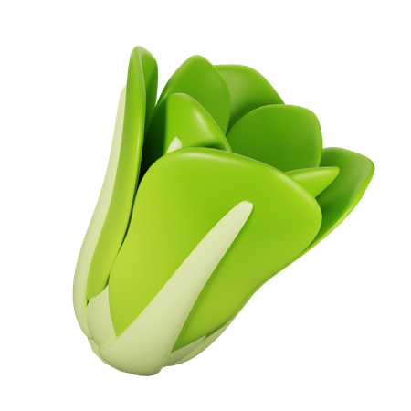 Lettuce  3D Icon