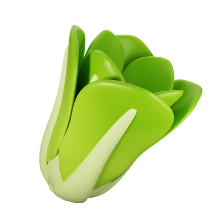 Lettuce  3D Icon