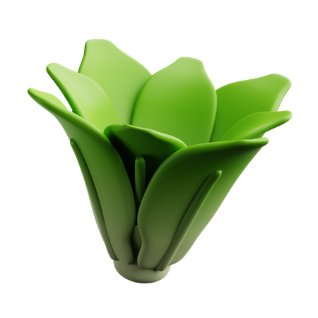 Lettuce  3D Icon