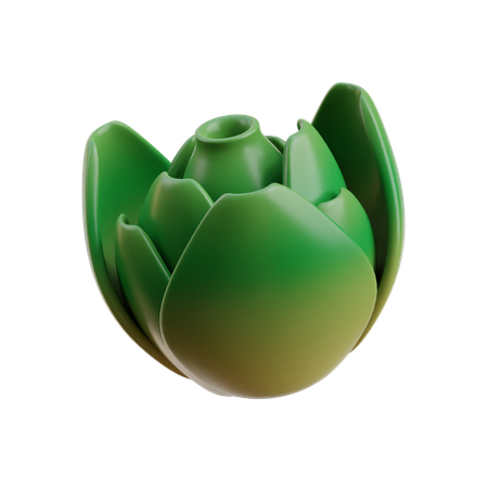 Lettuce  3D Icon