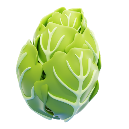 Lettuce  3D Icon