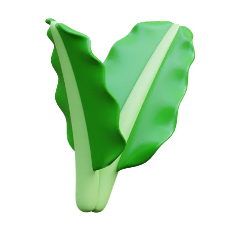 Lettuce  3D Icon