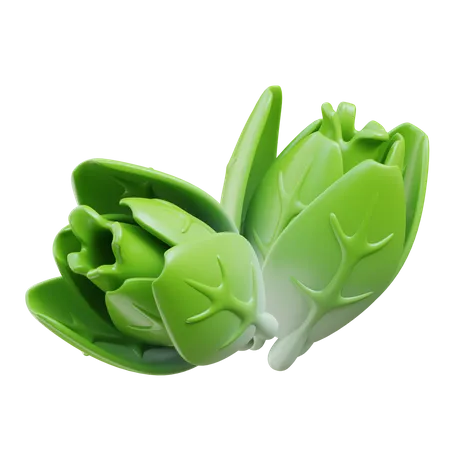 Lettuce  3D Icon