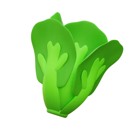 Lettuce  3D Icon