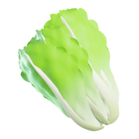 Lettuce  3D Icon