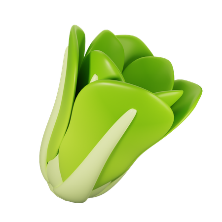 Lettuce  3D Icon