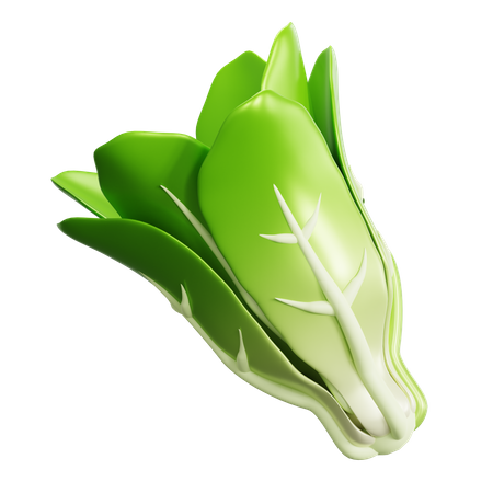 Lettuce  3D Icon