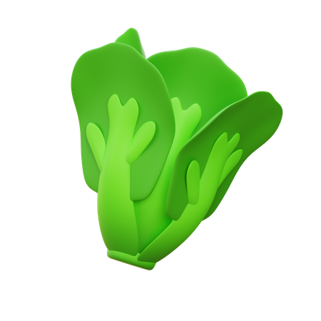 Lettuce  3D Icon