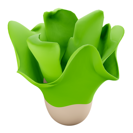 Lettuce  3D Illustration