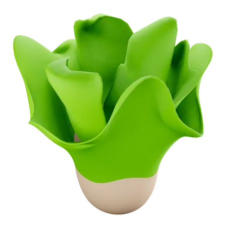 Lettuce 3D Illustration