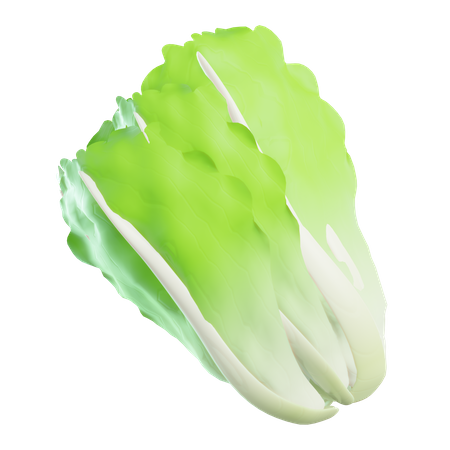 Lettuce 3D Illustration