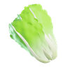 lettuce 3d illustration